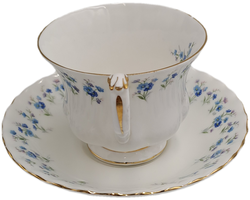 Vintage Royal Albert Memory Lane Cup and Saucer -Cup has a Chip