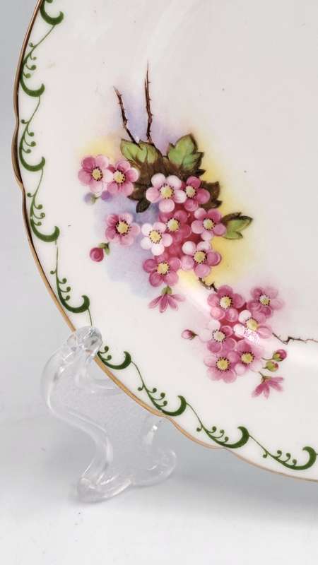 Vintage Vintage Shelley Fine bone Tea Cup and Side Plate -Blossom Pattern-4 Available
