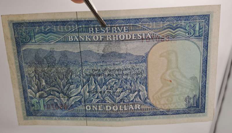 Rhodesia 1979 1 Dollar banknote-Bird Watermark