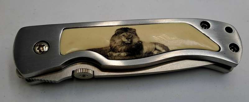 Collectable Big Five Pocket Knife - LION - In wooden display Box