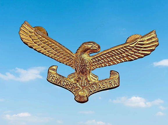 Vintage SAAF - South African Air Force Cap Badge