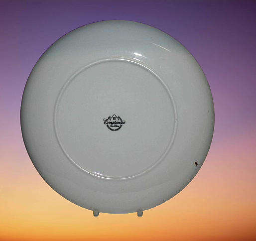 Collectable Vintage Constantia Fine China  Decorative Plate 233mm