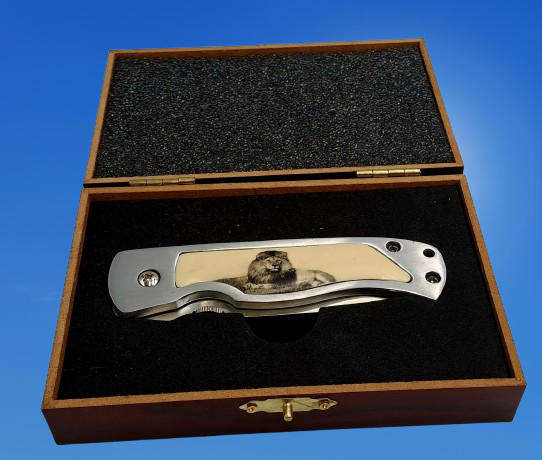 Collectable Big Five Pocket Knife - LION - In wooden display Box