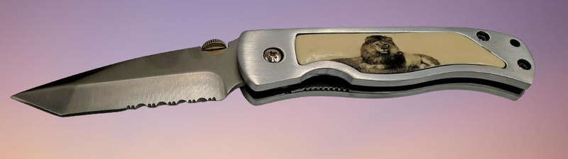 Collectable Big Five Pocket Knife - LION - In wooden display Box