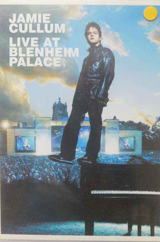 JAMIE CULLUM - Live at Blenheim Palace [DVD]