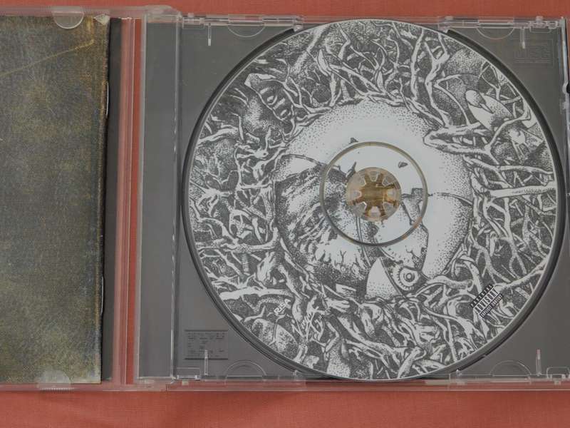 KORN - Take a Look in the Mirror [CD]