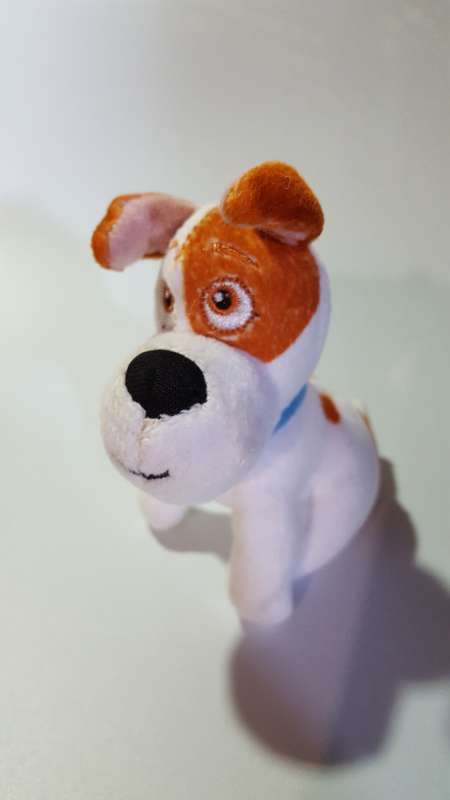 Dog Soft Toy