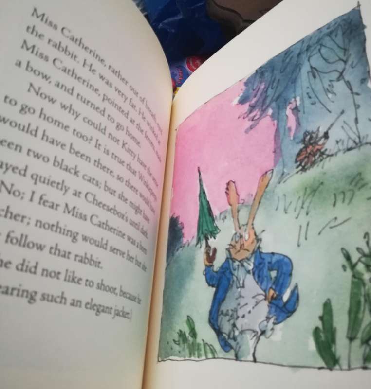 The tale of Kitty in boots by Beatrix Potter