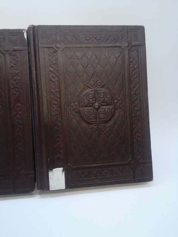 The American Educator encyclopedia - beautiful books - ex Library