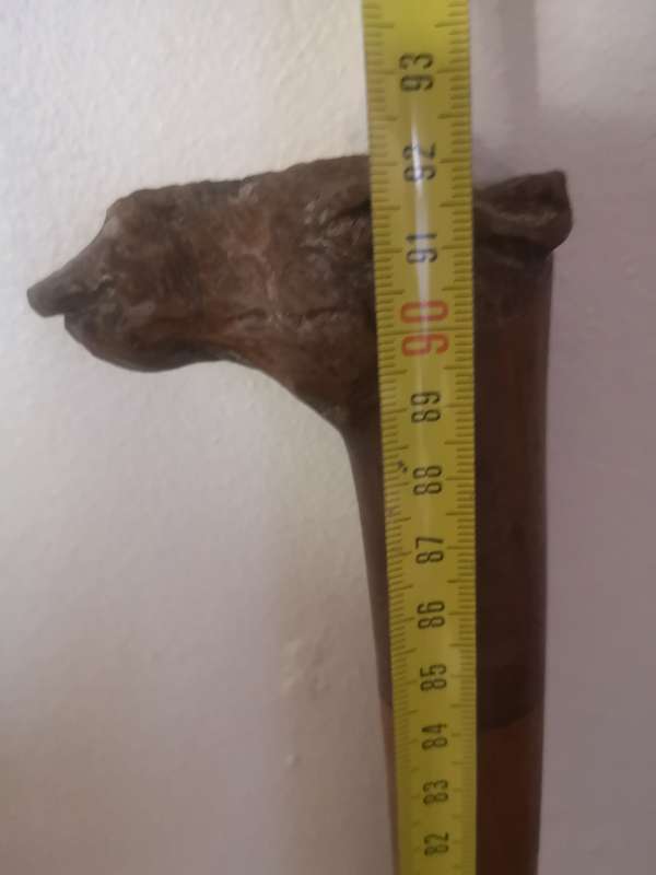 Wooden walking stick