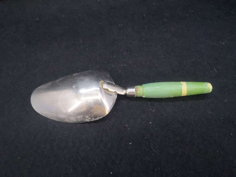 Skyline green wooden handle scoop