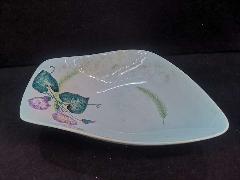 Vintage Carlton Ware Hand painted Austrailian Design