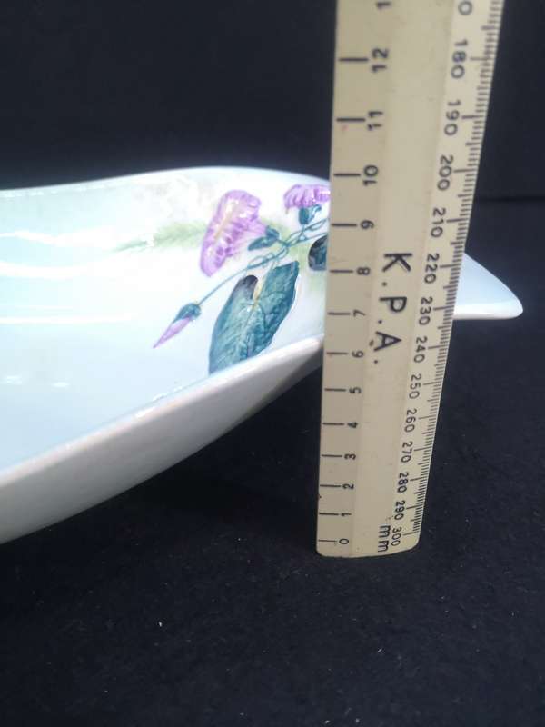 Vintage Carlton Ware Hand painted Austrailian Design