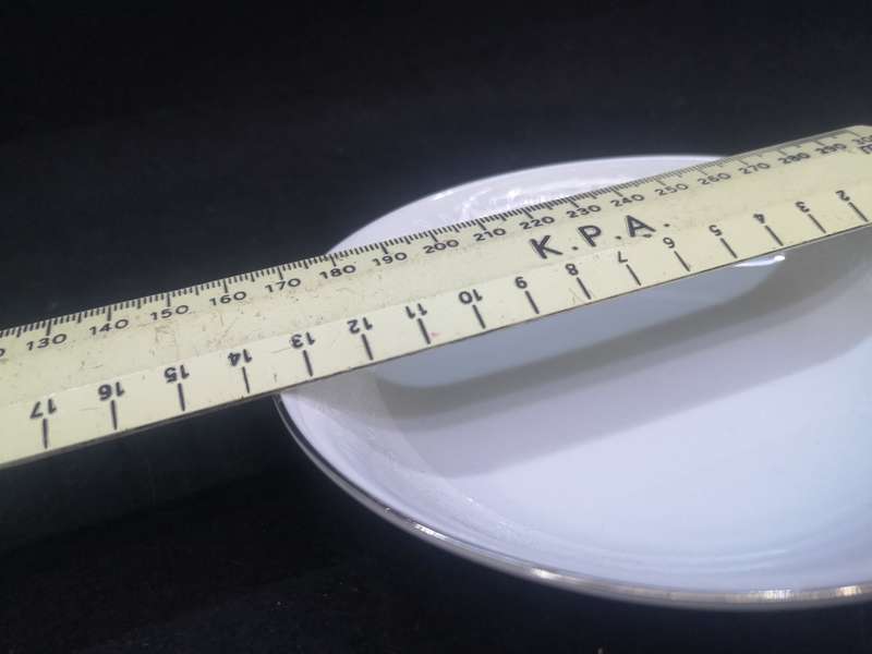 Carlton fine china Japan Plymouth bowl