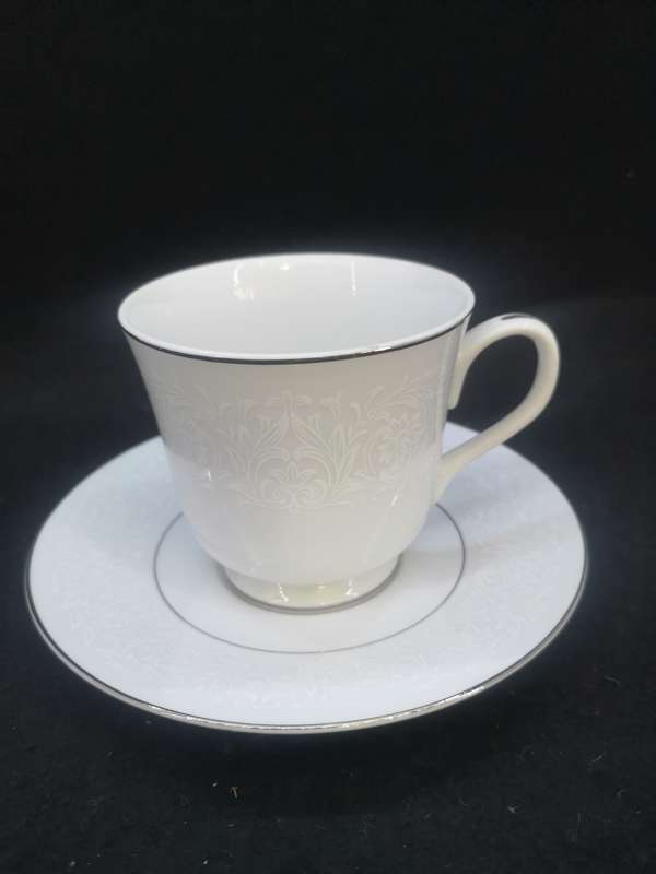 Carlton fine china Japan Plymouth Cup and saucer