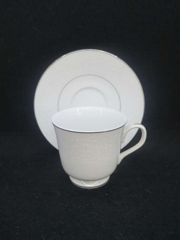 Carlton fine china Japan Plymouth Cup and saucer
