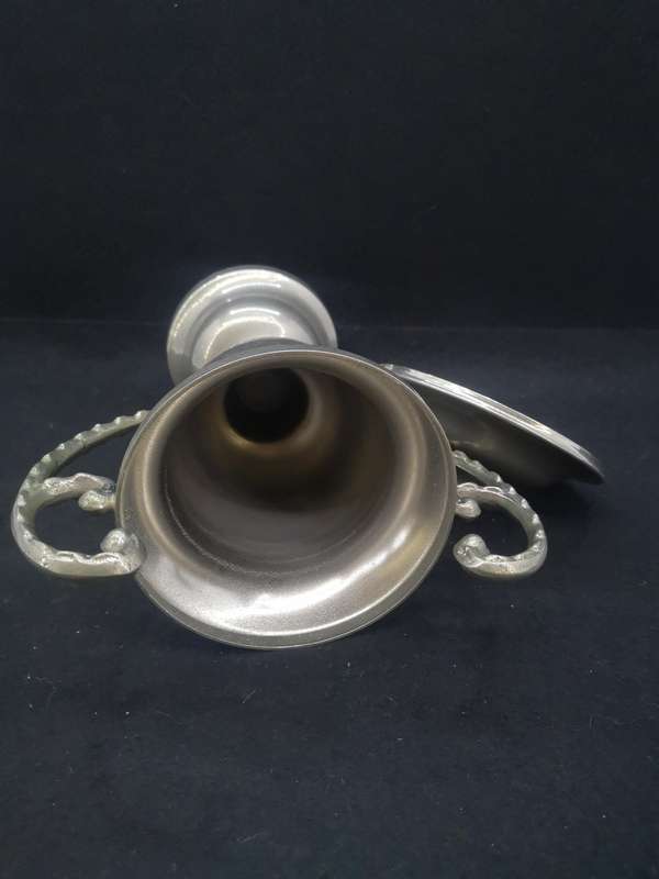 Big EPNS trophy