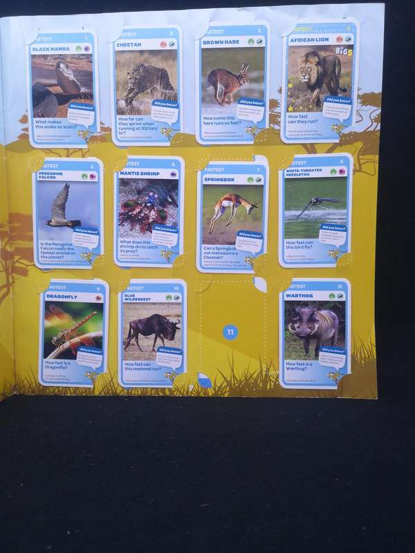Pick and Pay Super Animal Collectors Album - almost full