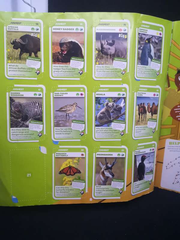 Pick and Pay Super Animal Collectors Album - almost full