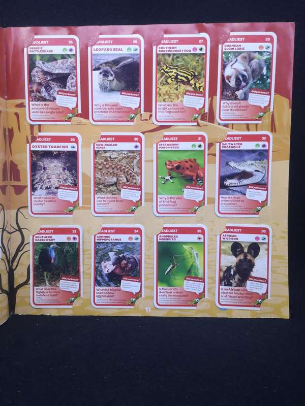 Pick and Pay Super Animal Collectors Album - almost full