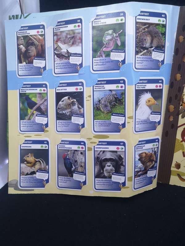 Pick and Pay Super Animal Collectors Album - almost full