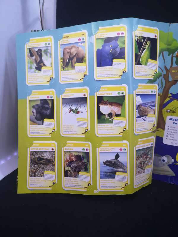 Pick and Pay Super Animal Collectors Album - almost full