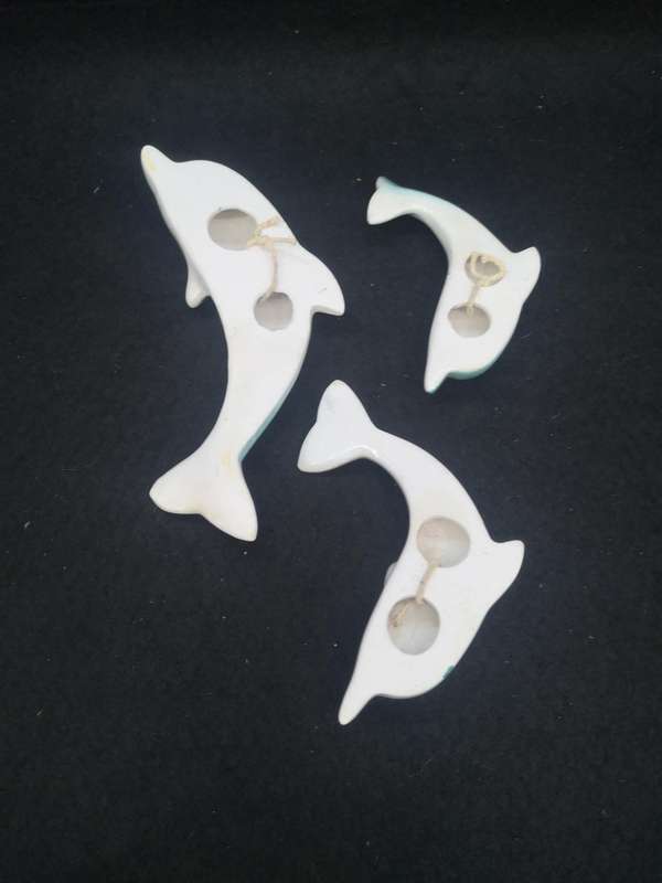 Set of dolphins