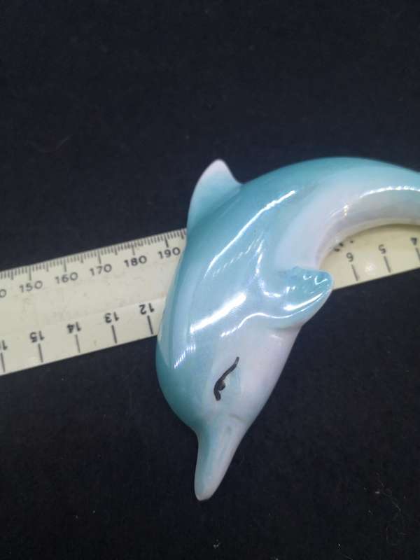 Set of dolphins