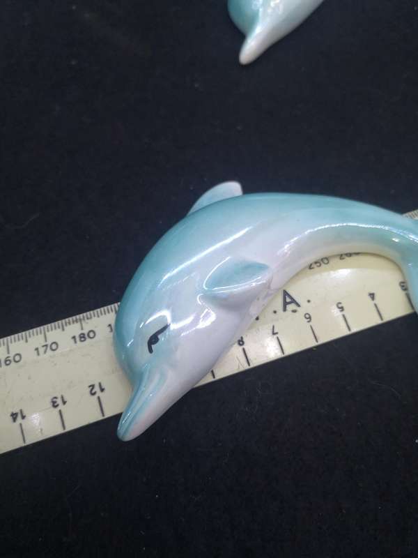 Set of dolphins