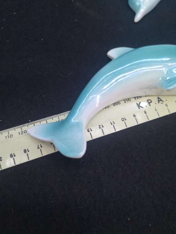 Set of dolphins