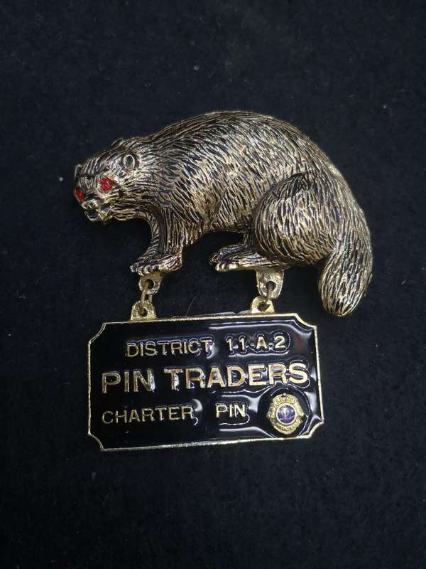 District Pin traders charter pin