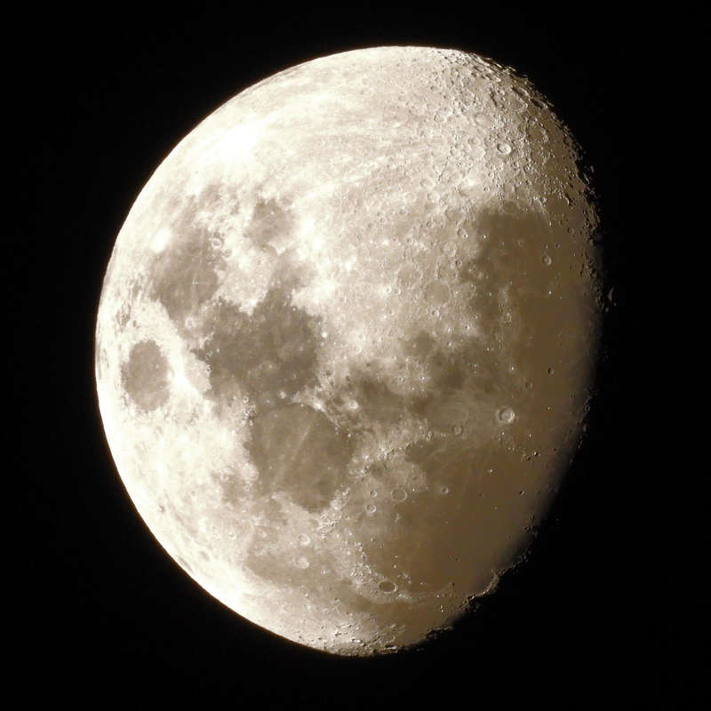 Nikon P950