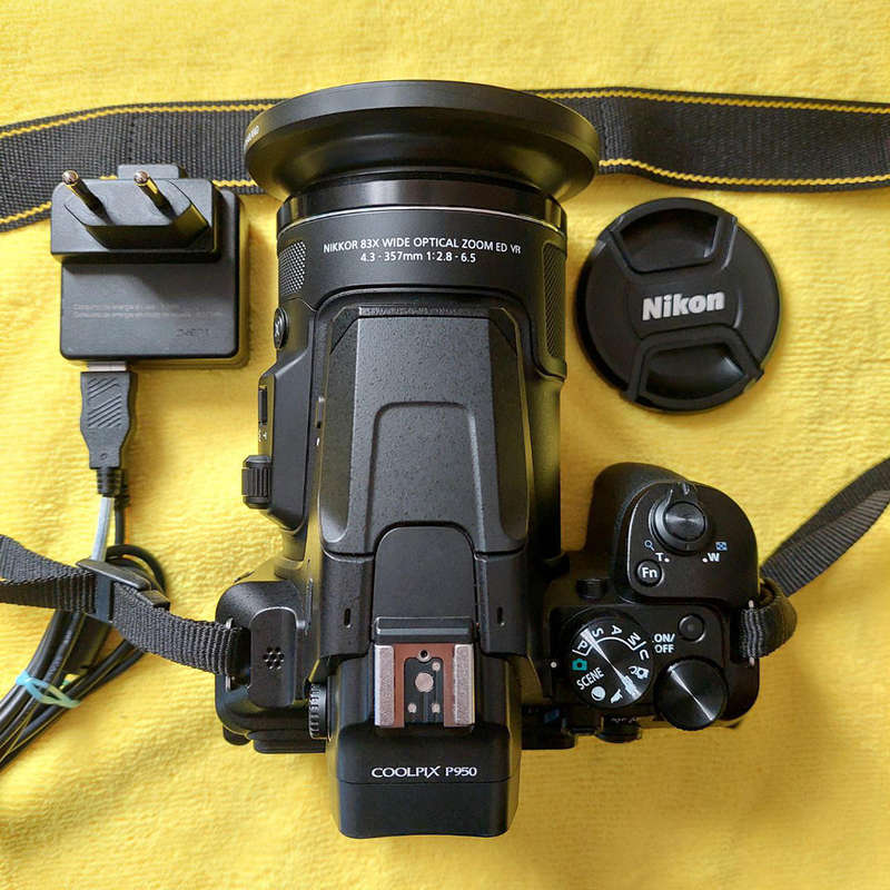 Nikon P950