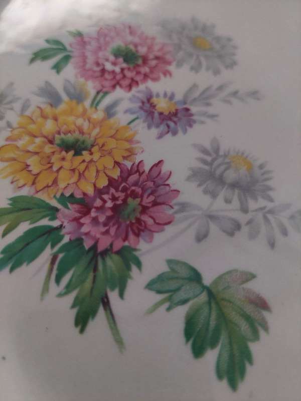 Vintage Royal Tudor Ware Barker Bros Floral Cake Plate