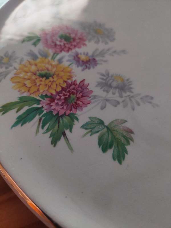Vintage Royal Tudor Ware Barker Bros Floral Cake Plate