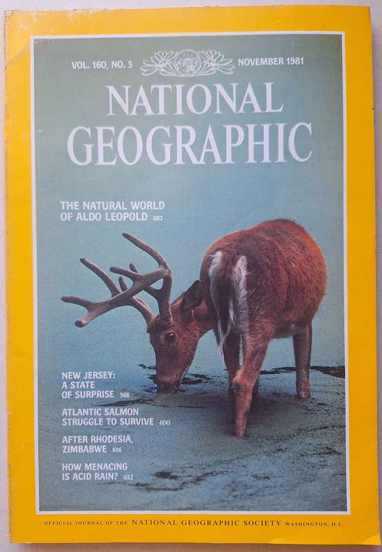 National Geographic November 1981