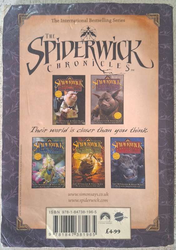The Spiderwick Chronicles book 2: The seeing stone