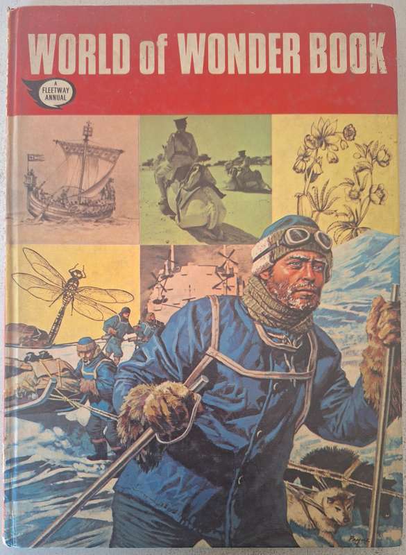 World of Wonder Book: A Fleetway annual