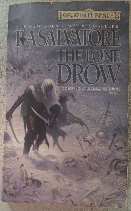Forgotten Realms: The Lone Drow