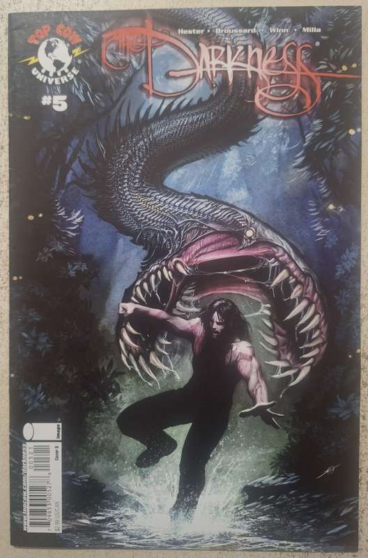 Darkness #5 (2008)