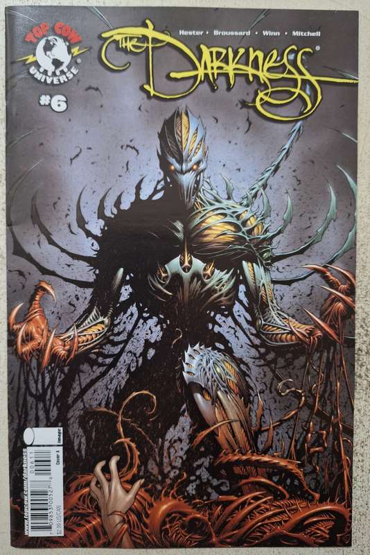 Darkness #6 (2008)