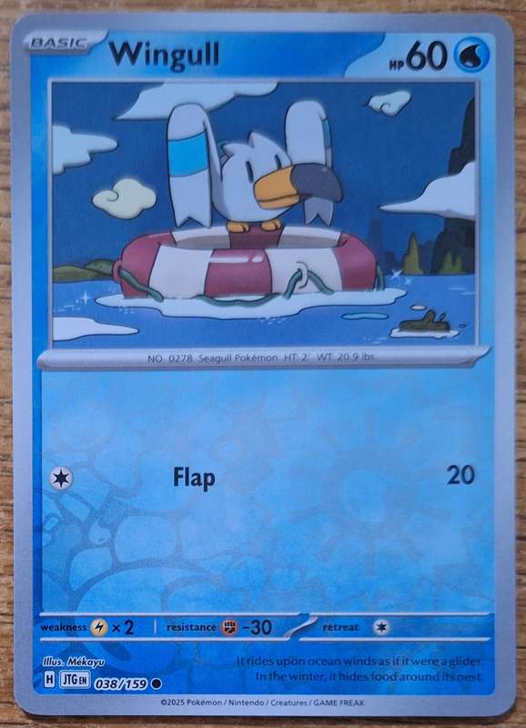 Pokemon Journey Together - Wingull