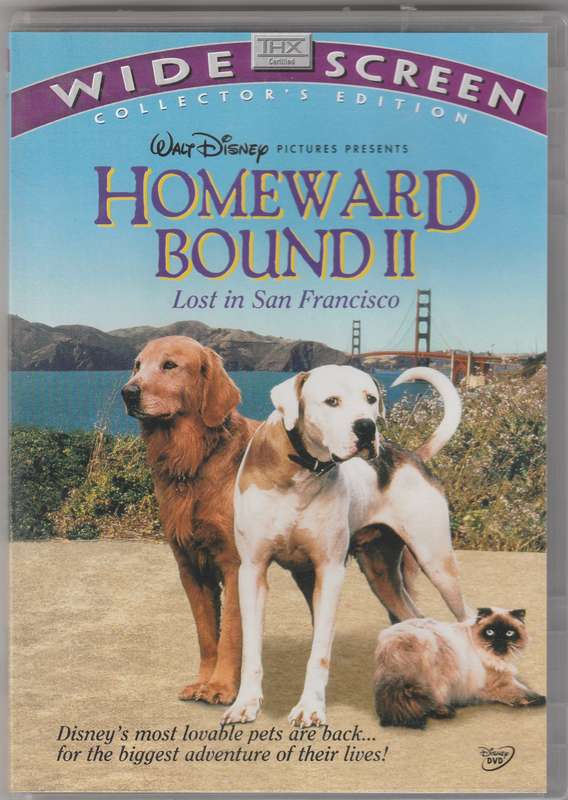 Homeward bound 2 lost in San Francisco