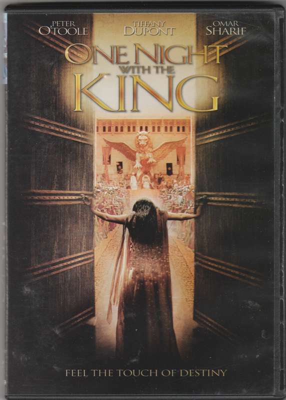 One Night with the King