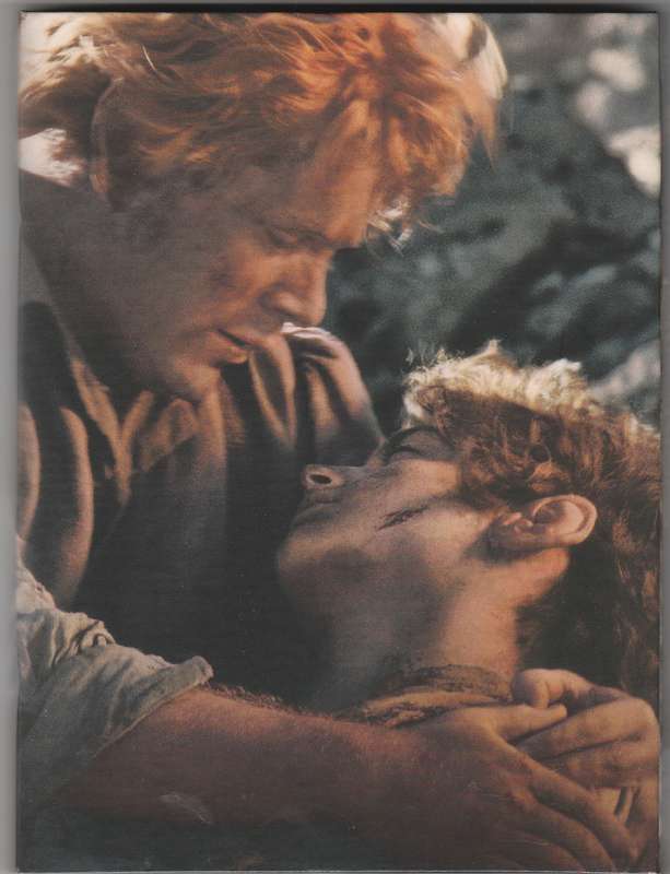 The Lord of the Rings: The return of the King