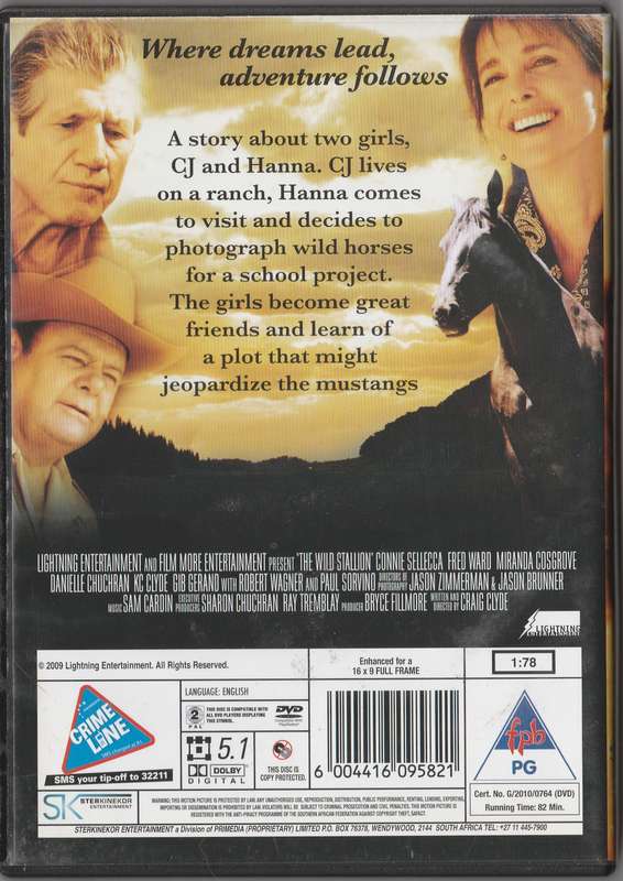 The Wild Stallion
