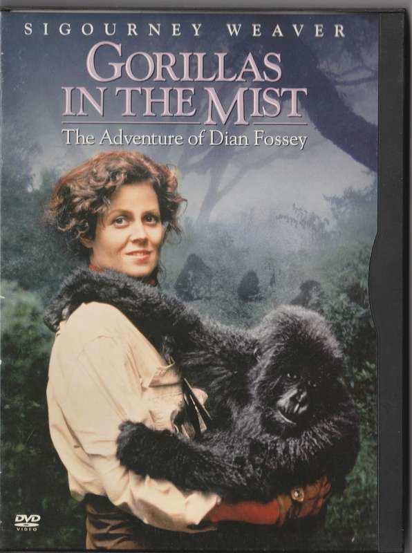 Gorillas in the Mist