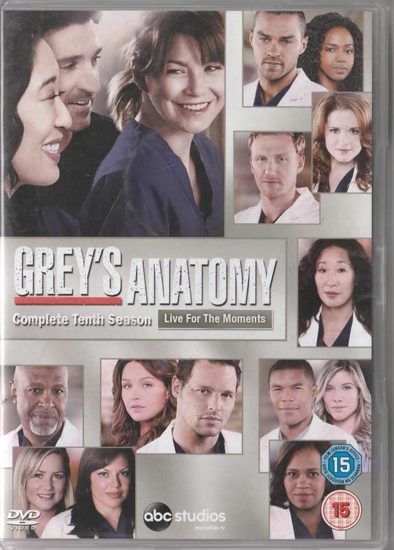 Grey's Anatomy The Complete Tenth season