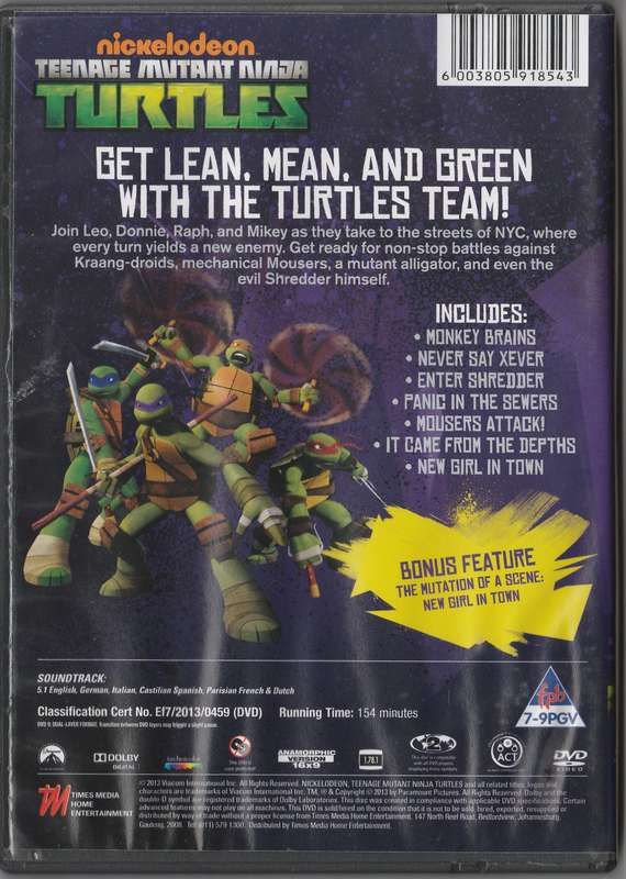 Teenage Mutant Ninja Turtles Enter Shredder