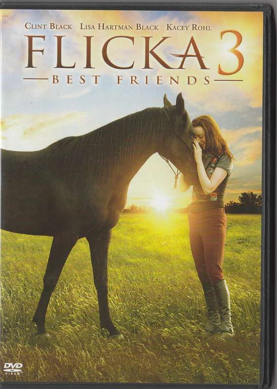 Flicka 3